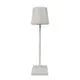 LED Wireless Table Lamp USB Rechargeable - Swane Shop